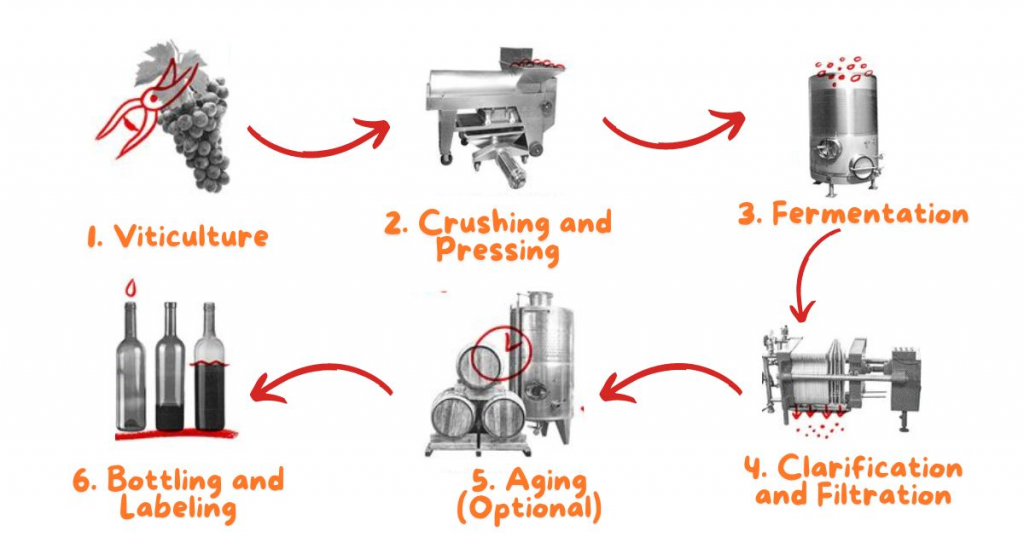 basic steps of the winemaking process