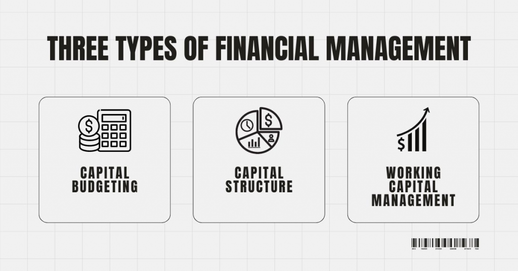 what are the three types of financial management