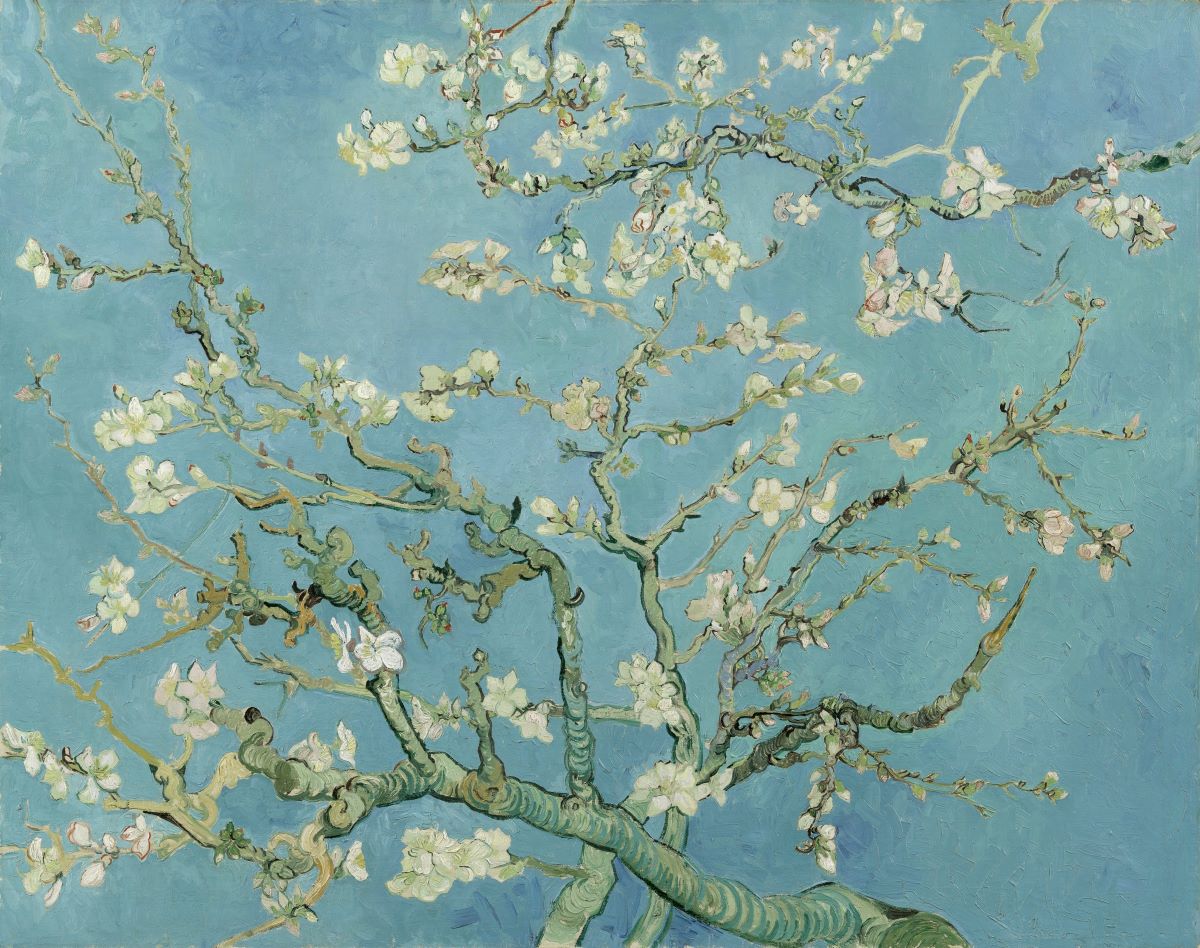 almond blossoms (1888-1890)