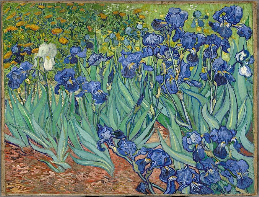 irises (1889)