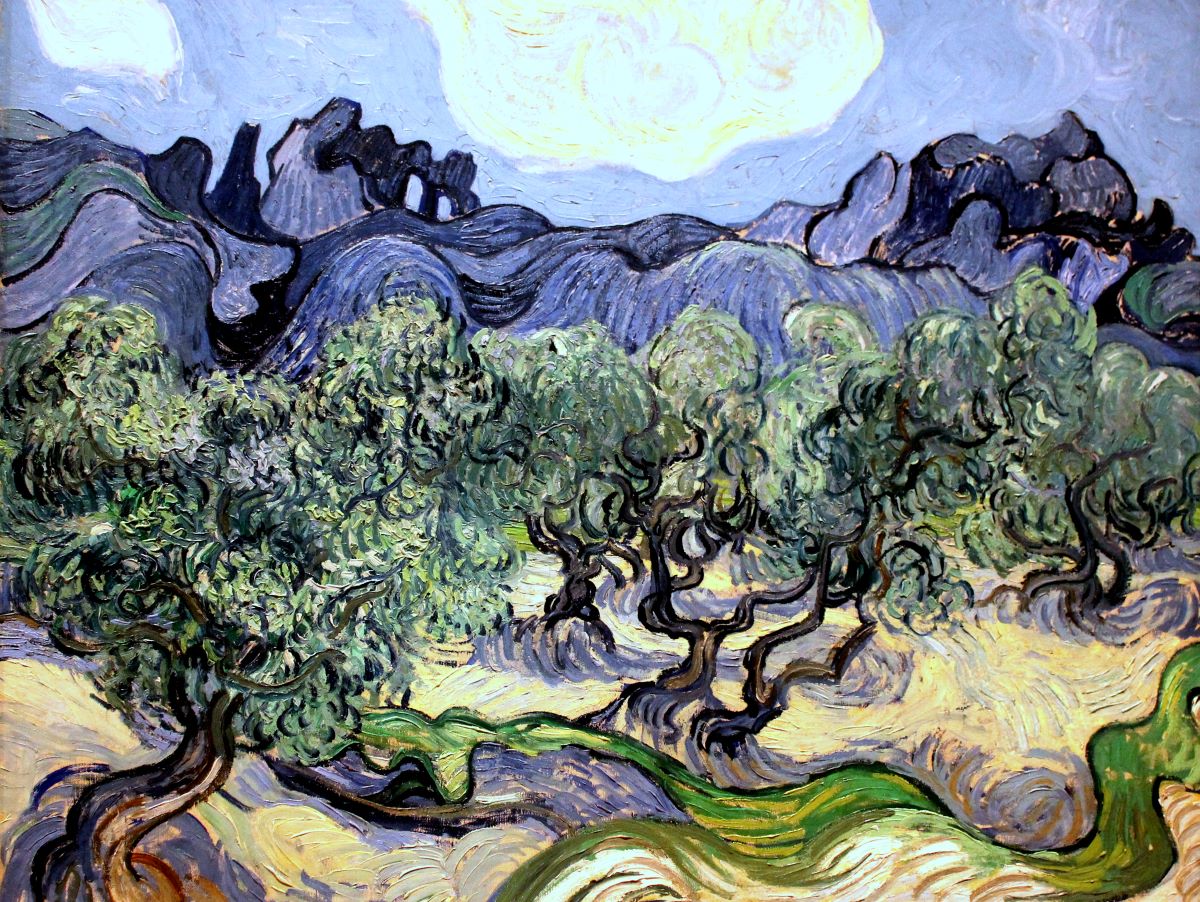 olive trees (1889)