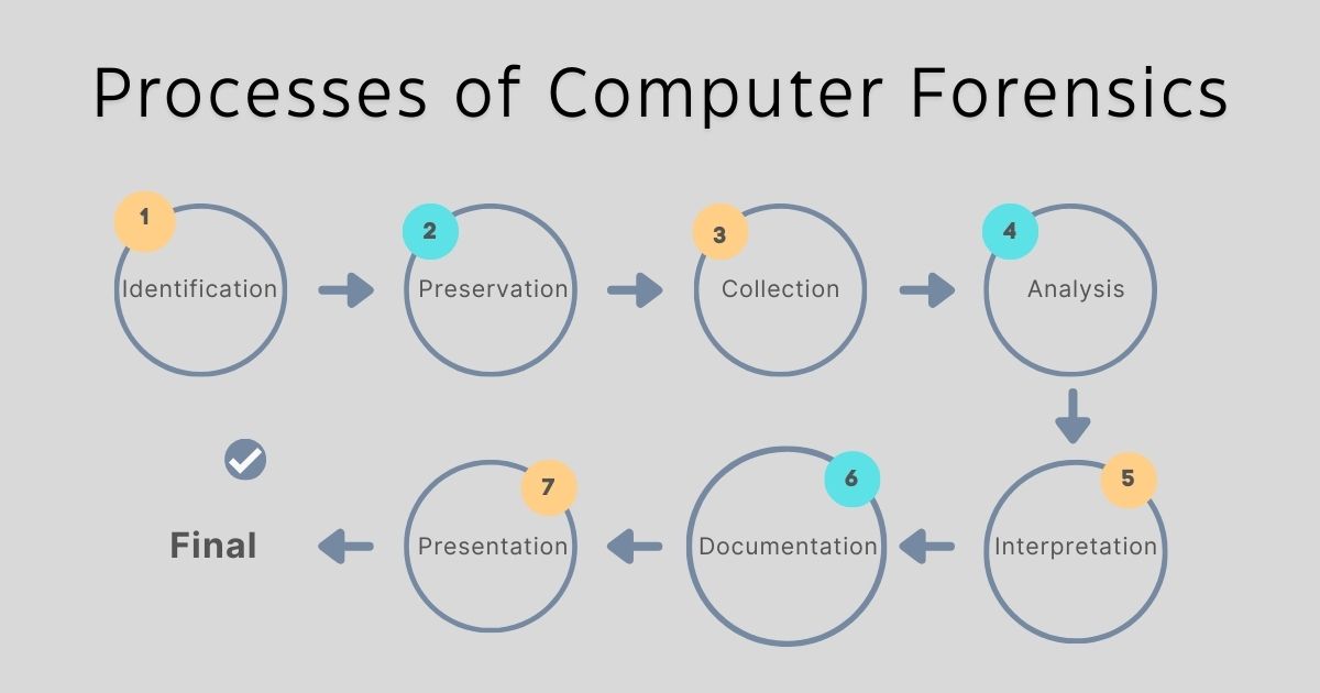 processes of computer forensics